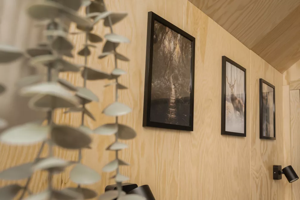 Domek trzyosobowy - Venus 2 z jacuzzi